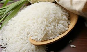 【聚焦风口】工业电机朝节能高效转型行业发展空间大(图5)