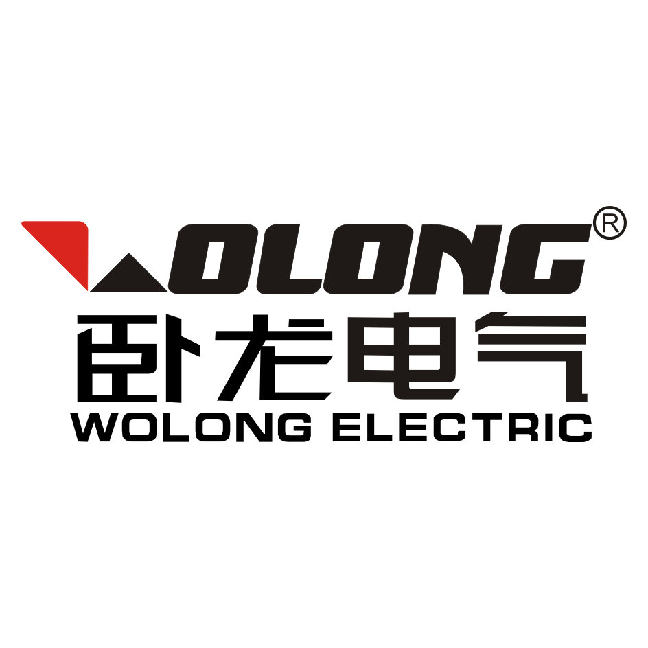 2024年度电机行业榜单揭晓！十大公认电机品牌排行榜(图3)