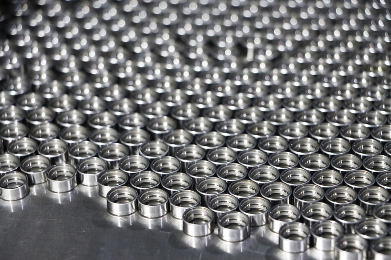 贵州独山：小轴承“转”出发展新速度