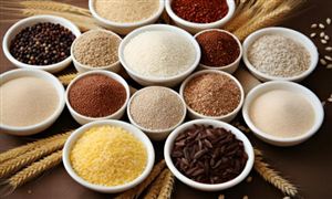 2024年中国工业自动化产业链结构分析及行业发展趋势(图2)