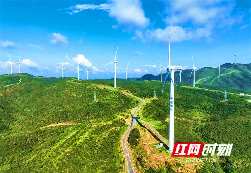 “瑶”望江华70年丨青山向新：江华产业的时代叙事(图6)