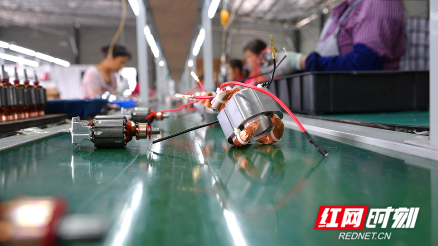 观潮的螃蟹丨江华这个产业从“省尾”到龙头(图4)