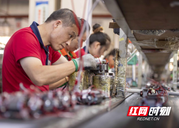 观潮的螃蟹丨江华这个产业从“省尾”到龙头(图7)