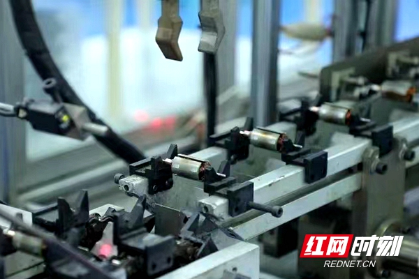 观潮的螃蟹丨江华这个产业从“省尾”到龙头(图12)