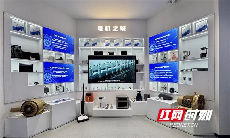 观潮的螃蟹丨江华这个产业从“省尾”到龙头(图14)