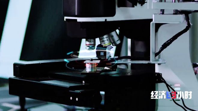 AI进车间、上产线！领航级智能工厂激活产业新动能(图13)