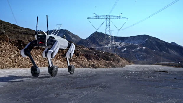 大疆系机器人公司「璇玑动力」半年内再获数亿融资产业基金青睐“能扛活的机器狗”(图2)