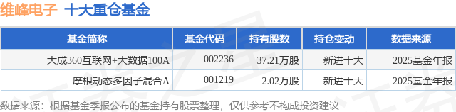 4月15日维峰电子涨520%大成360互联网+大数据100A基金重仓该股(图1)