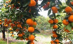 工业自动化发展现状工业自动化前景展望(图6)